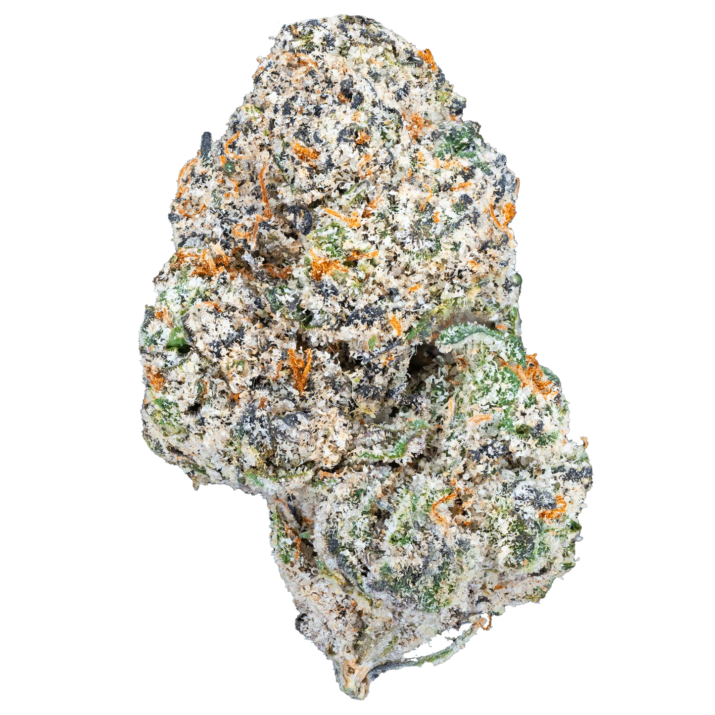 BAY BULK - BLUE CHERRY GELATO (HYBRID) HIGH THCa HEMP FLOWER 7GM / BAG