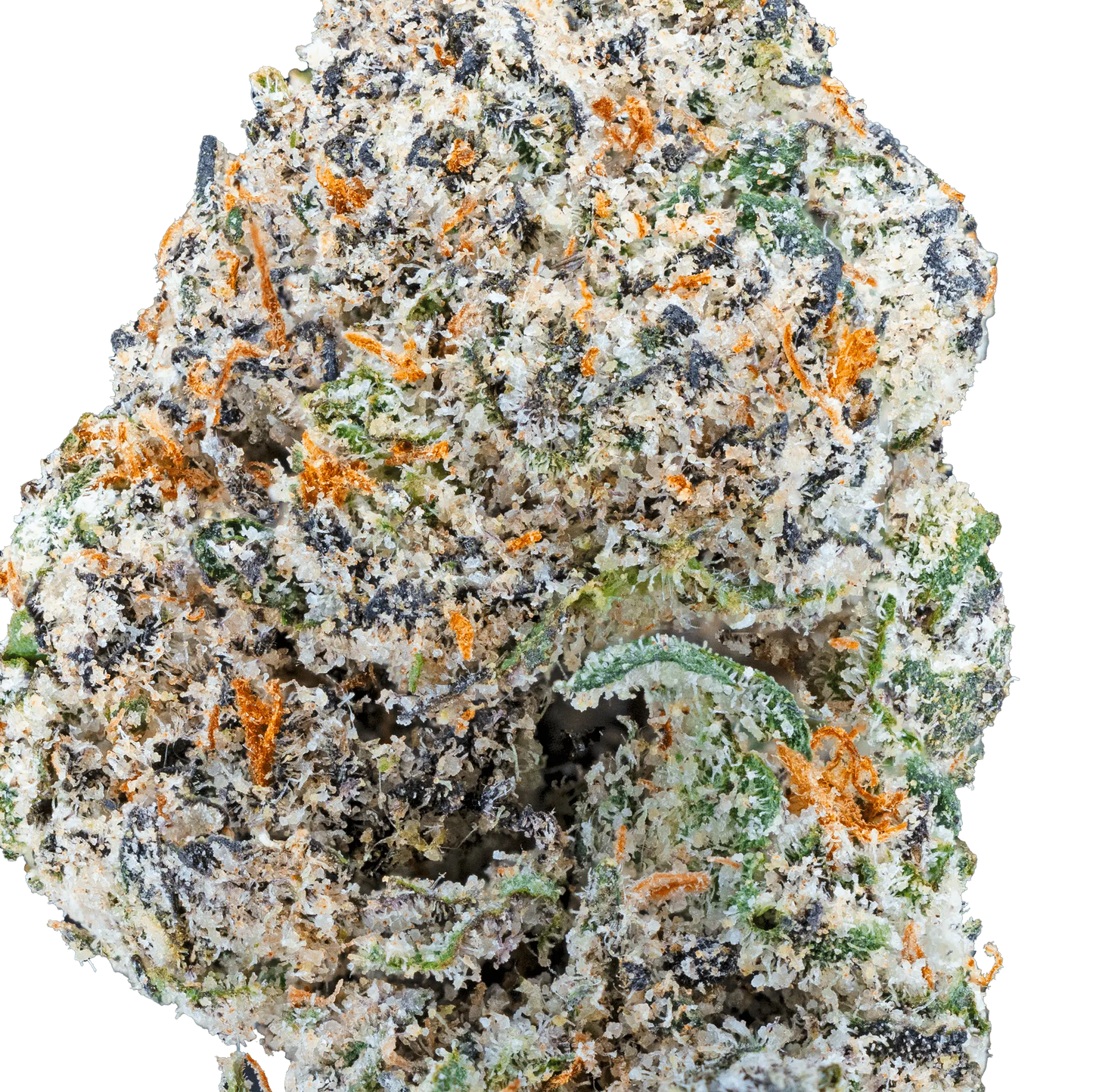 BAY BULK - BLUE CHERRY GELATO (HYBRID) HIGH THCa HEMP FLOWER 7GM / BAG