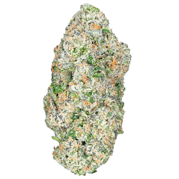BAY BULK - QUATTRO KUSH (INDICA) HIGH THCa HEMP FLOWER 3.5 GM / JAR