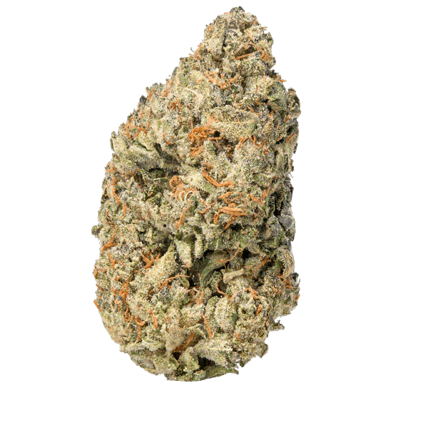 BAY BULK - WHITE TRUFFLE ( EXOTIC INDICA ) HIGH THCa HEMP FLOWER 7GM / BAG