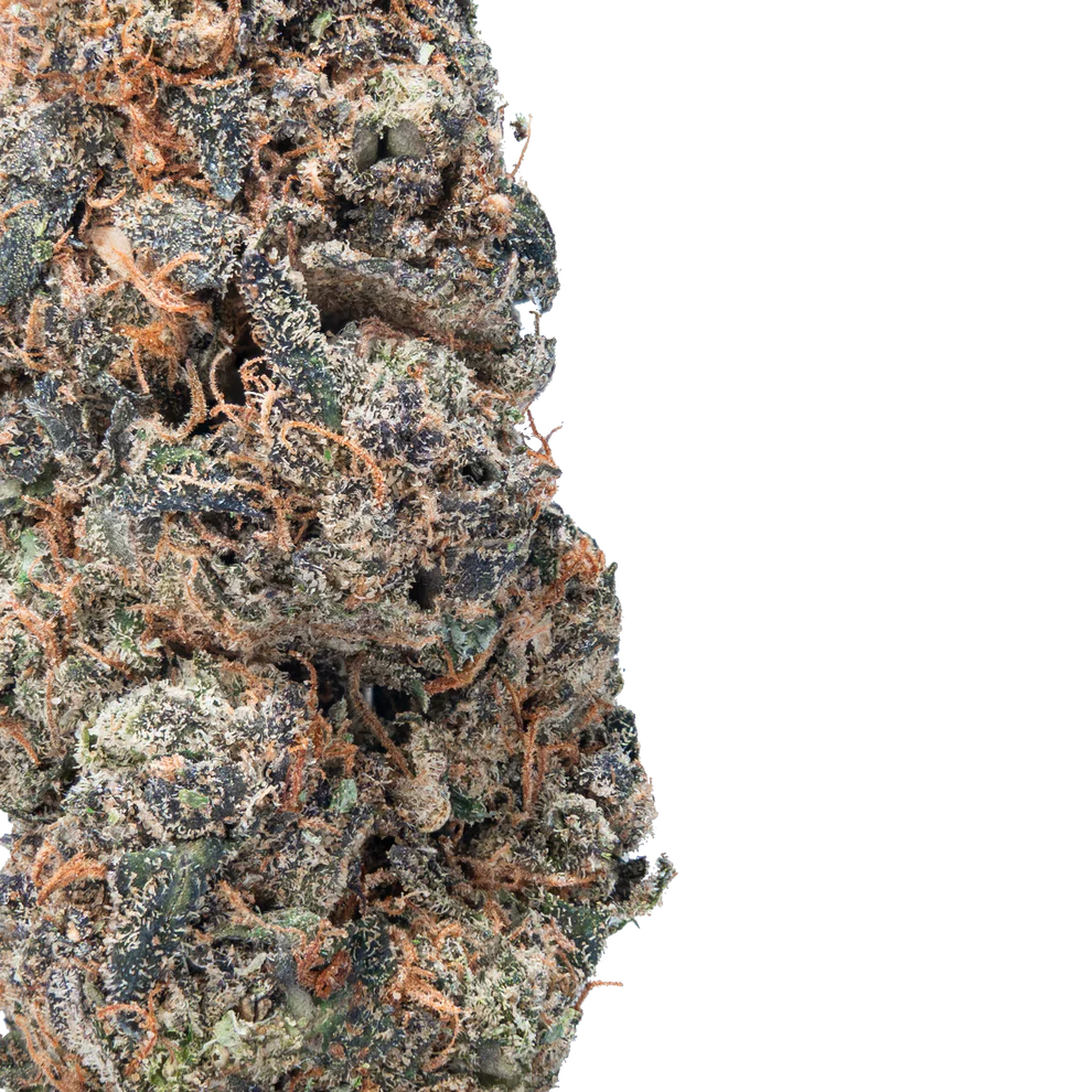 BAY BULK - GORILLA GLUE ( EXOTIC HYBRID ) HIGH THCa HEMP FLOWER 7GM / BAG