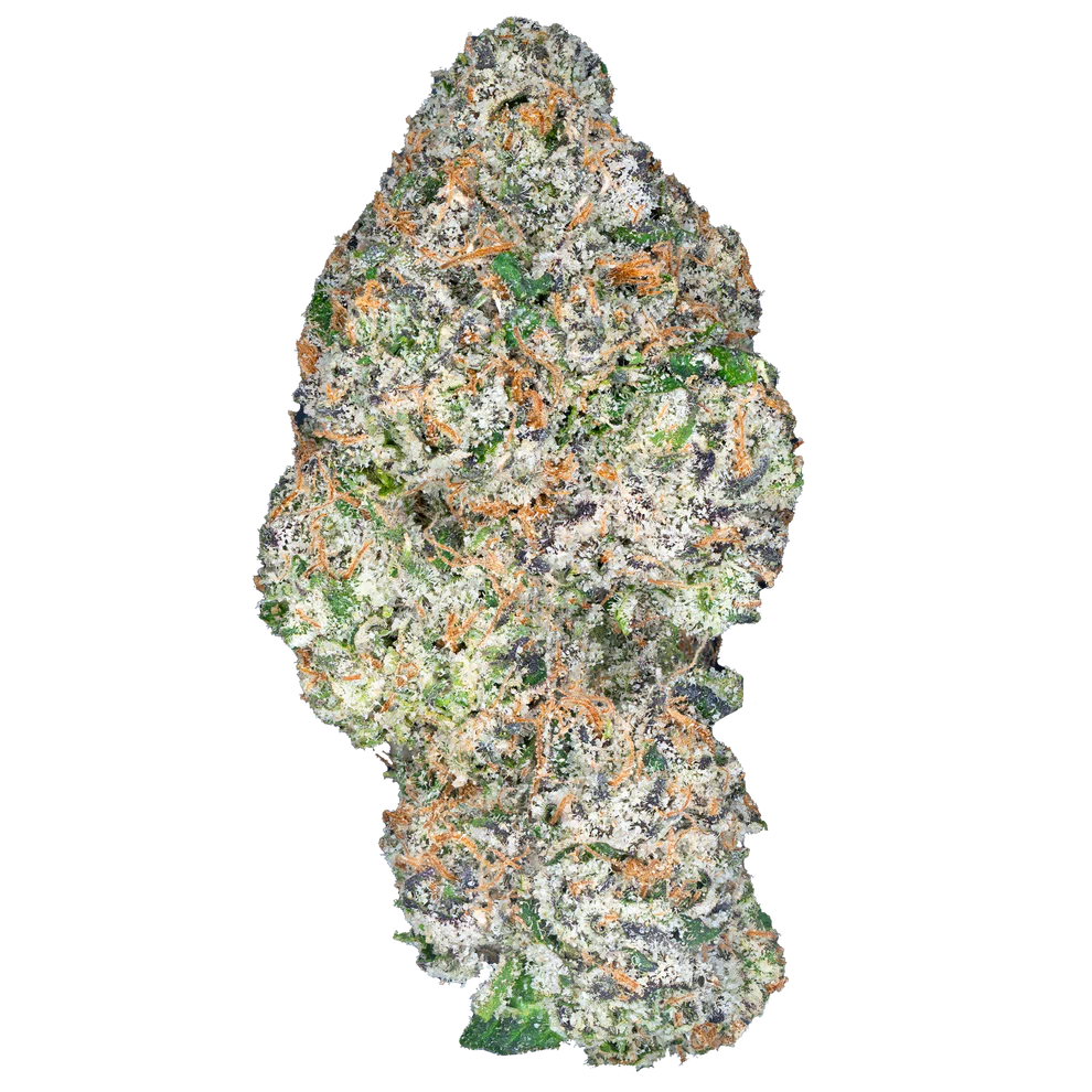 BAY BULK - APPLE FRITTER (HYBRID) HIGH THCa HEMP FLOWER 3.5GM / BAG