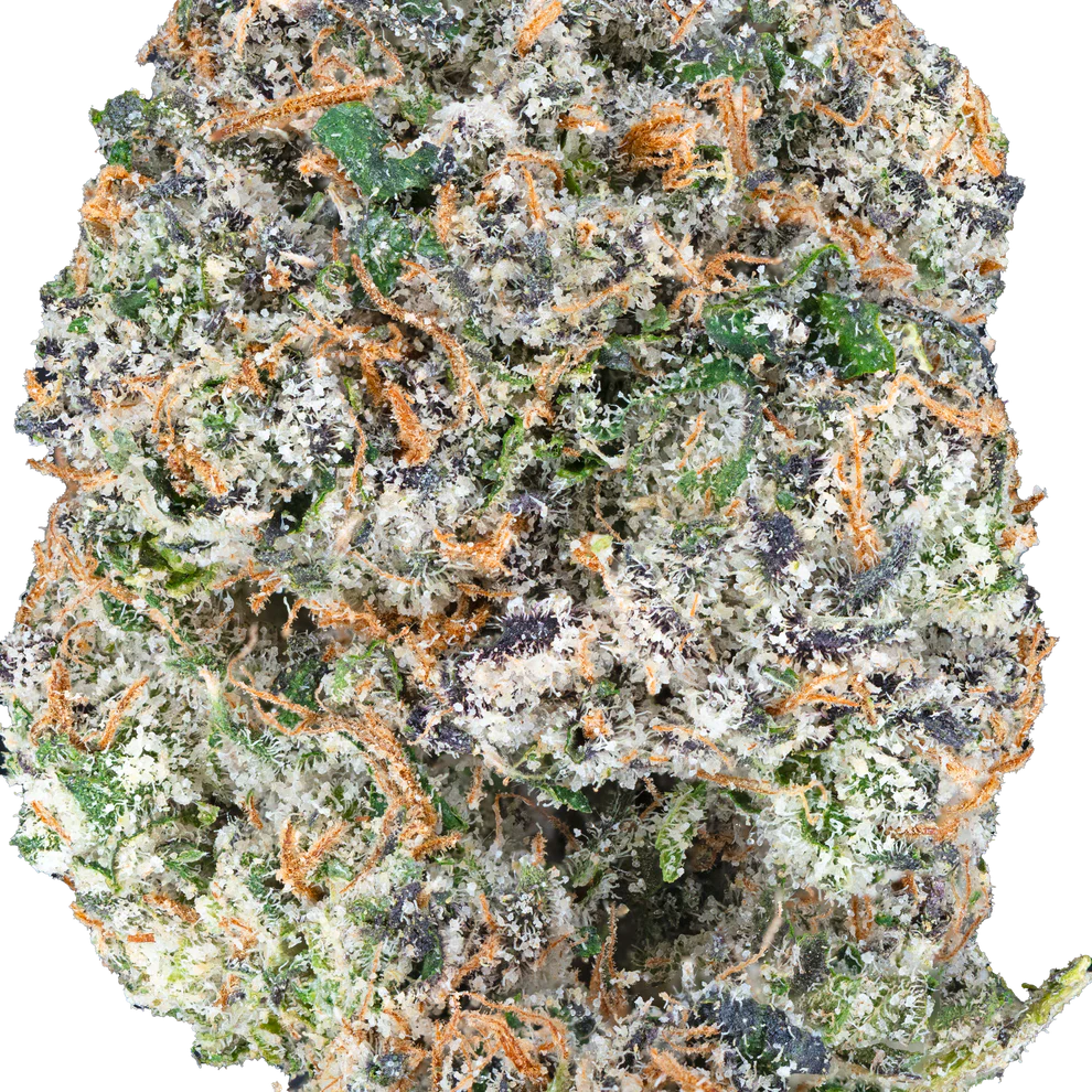 BAY BULK - APPLE FRITTER (HYBRID) HIGH THCa HEMP FLOWER 3.5GM / BAG