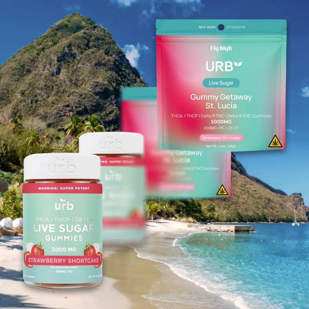 URB - THCA LIVE SUGAR 5000MG GUMMIES 6COUNT / BOX