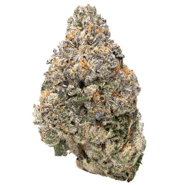 BAY BULK - JEALOUSY (HYBRID) HIGH THCa HEMP FLOWER 7GM / BAG