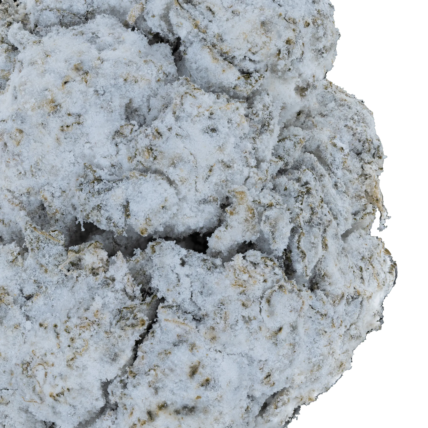 BAY BULK - BIG SWIRLZ SNOWBALLS (HYBRID) HIGH THCa HEMP FLOWER 7GM / BAG