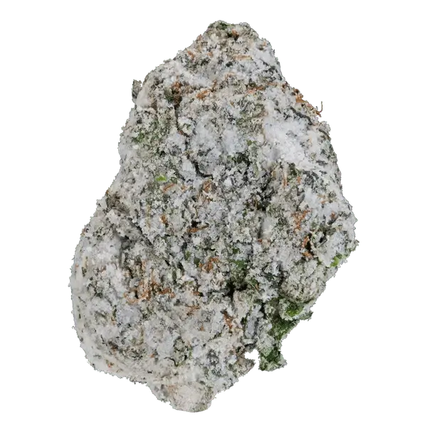 BAY BULK - BIG SWIRLZ SNOWBALLS (HYBRID) HIGH THCa HEMP FLOWER 7GM / BAG