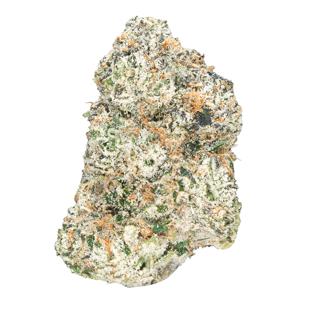 BAY BULK - THAI ICED TEA (INDICA HYBRID) HIGH THCa HEMP FLOWER 7GM / BAG