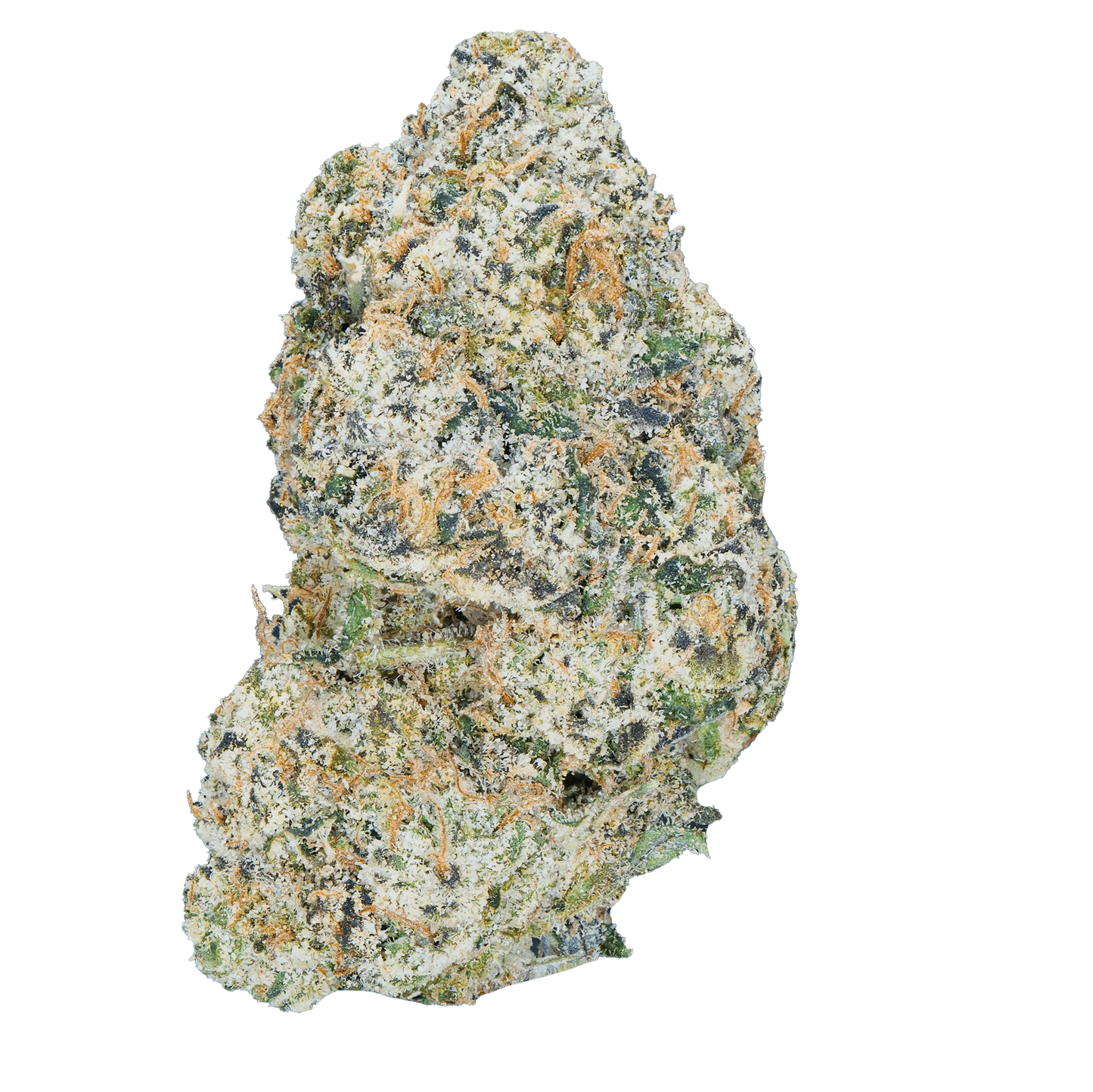BAY BULK - TRES LECHES (SATIVA) HIGH THCa HEMP FLOWER 3.5GM / JAR