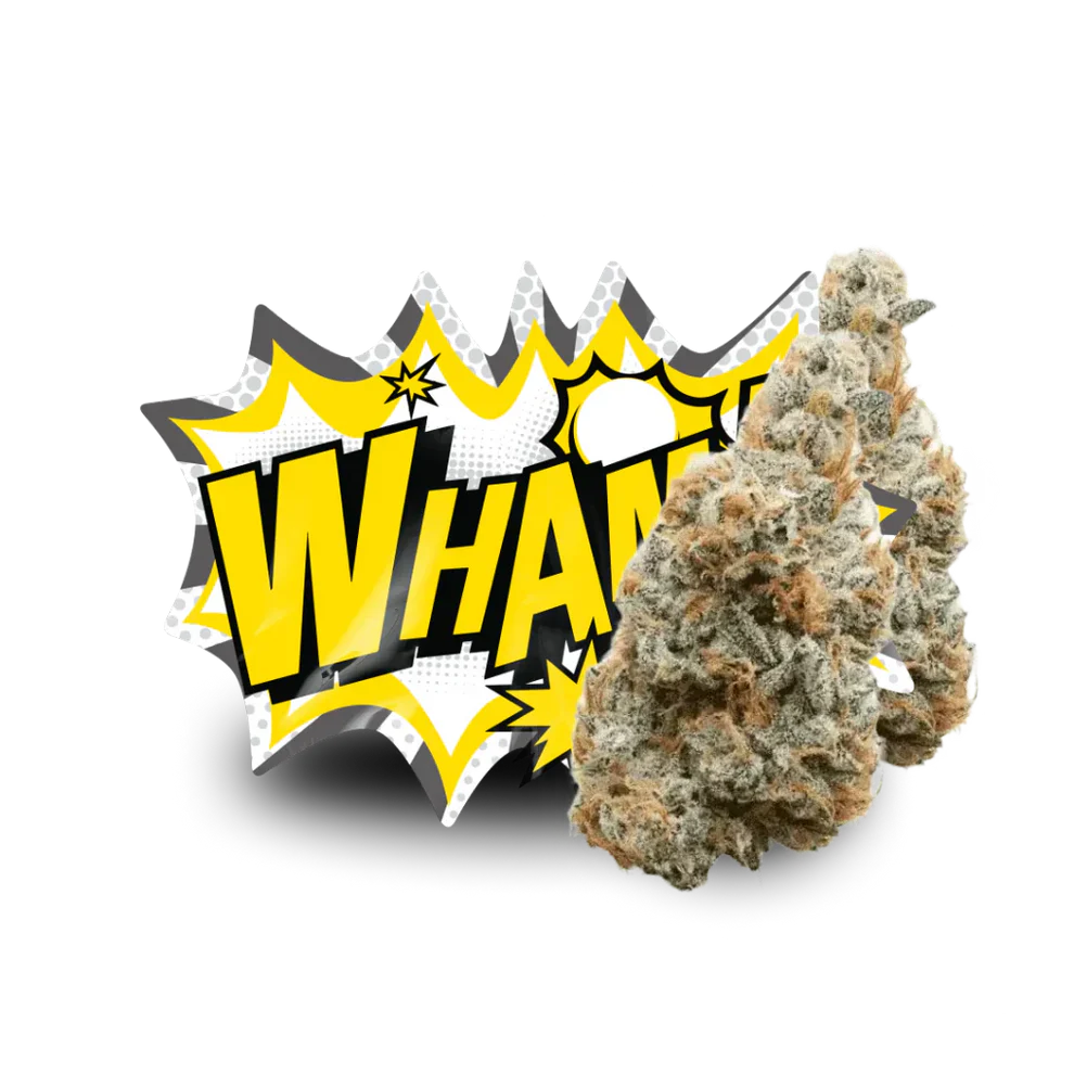 LIL BABY THCa FLOWER - Wham 3.5GRAM