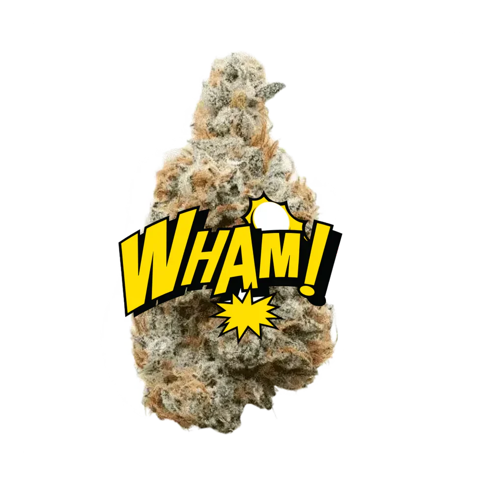 LIL BABY THCa FLOWER - Wham 3.5GRAM