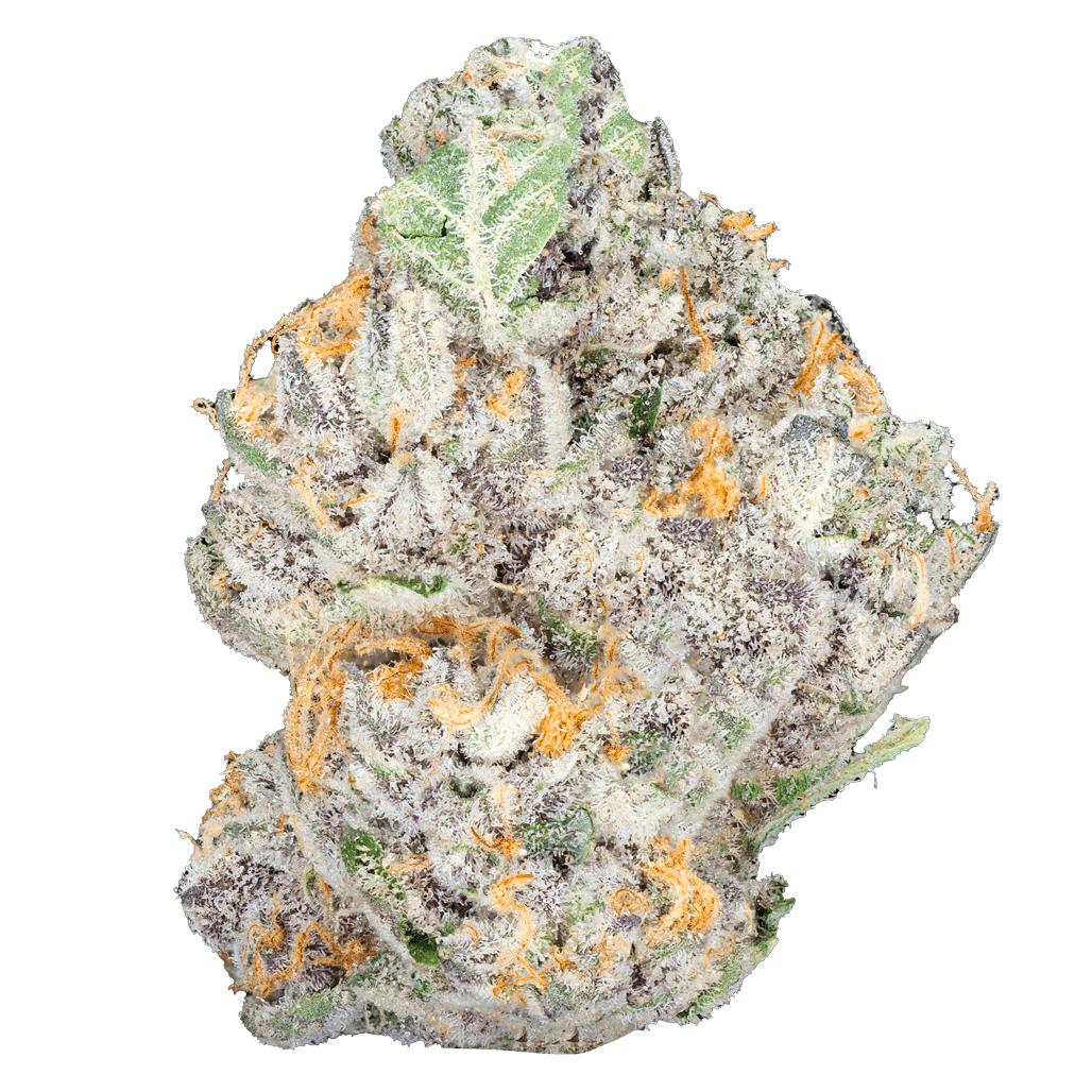 BAY BULK - ALIEN ET (HYBRID) HIGH THCa HEMP FLOWER 3.5GM / JAR
