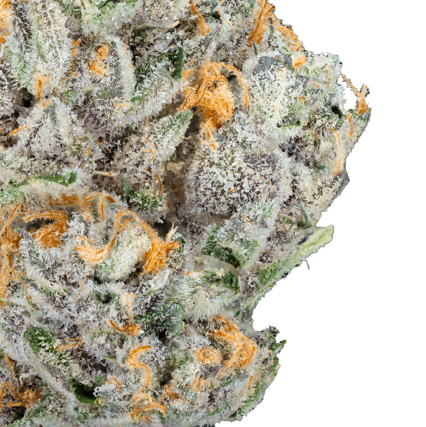 BAY BULK - ALIEN ET (HYBRID) HIGH THCa HEMP FLOWER 3.5GM / JAR
