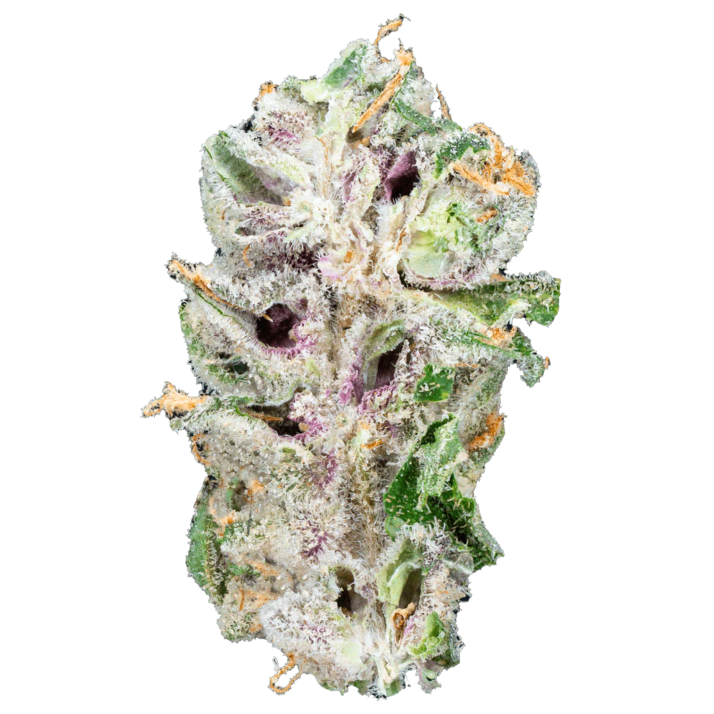 BAY BULK - ALIEN ET (HYBRID) HIGH THCa HEMP FLOWER 3.5GM / JAR