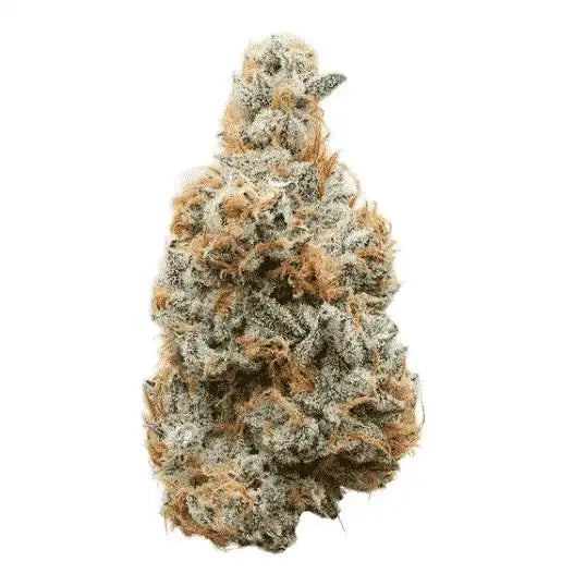 LIL BABY THCa FLOWER - Wham 3.5GRAM