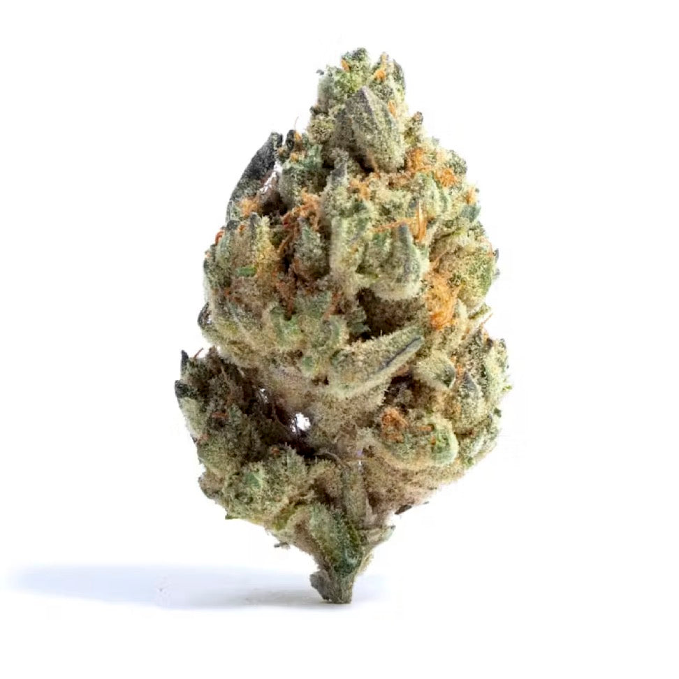 BAY SMOKES - CROSTADA (HYBRID) EXOTIC THCa HEMP FLOWER 3.5GM / BAG