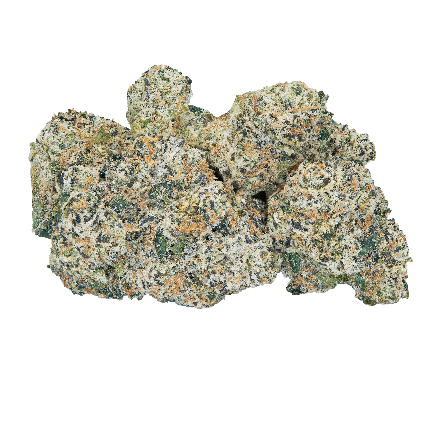 BAY BULK - TRES LECHES (SATIVA) HIGH THCa HEMP FLOWER 3.5GM / JAR