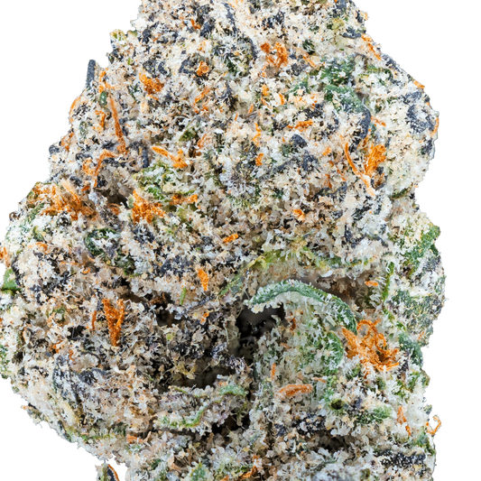 BAY SMOKES - BLUE CHERRY GELATO  (HYBRID)  EXOTIC THCa HEMP FLOWER 3.5GM / JAR