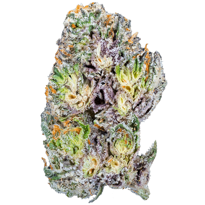BAY SMOKES - BLUE CHERRY GELATO  (INDICA)  EXOTIC THCa HEMP FLOWER 3.5GM / BAG