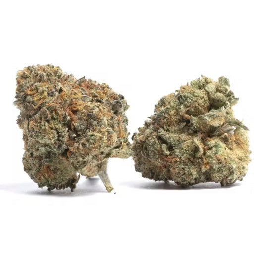 BAY SMOKES - WHITE CHERRY RUNTZ  (INDICA) THCa HEMP FLOWER 3.5GM / JAR