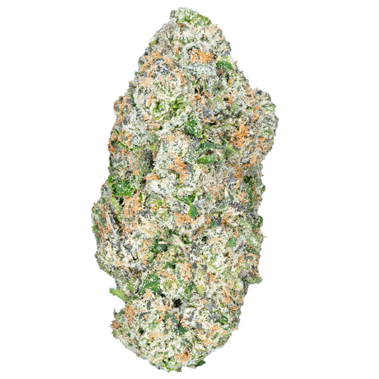 BAY BULK - QUATTRO KUSH (INDICA) HIGH THCa HEMP FLOWER 3.5 GM / JAR