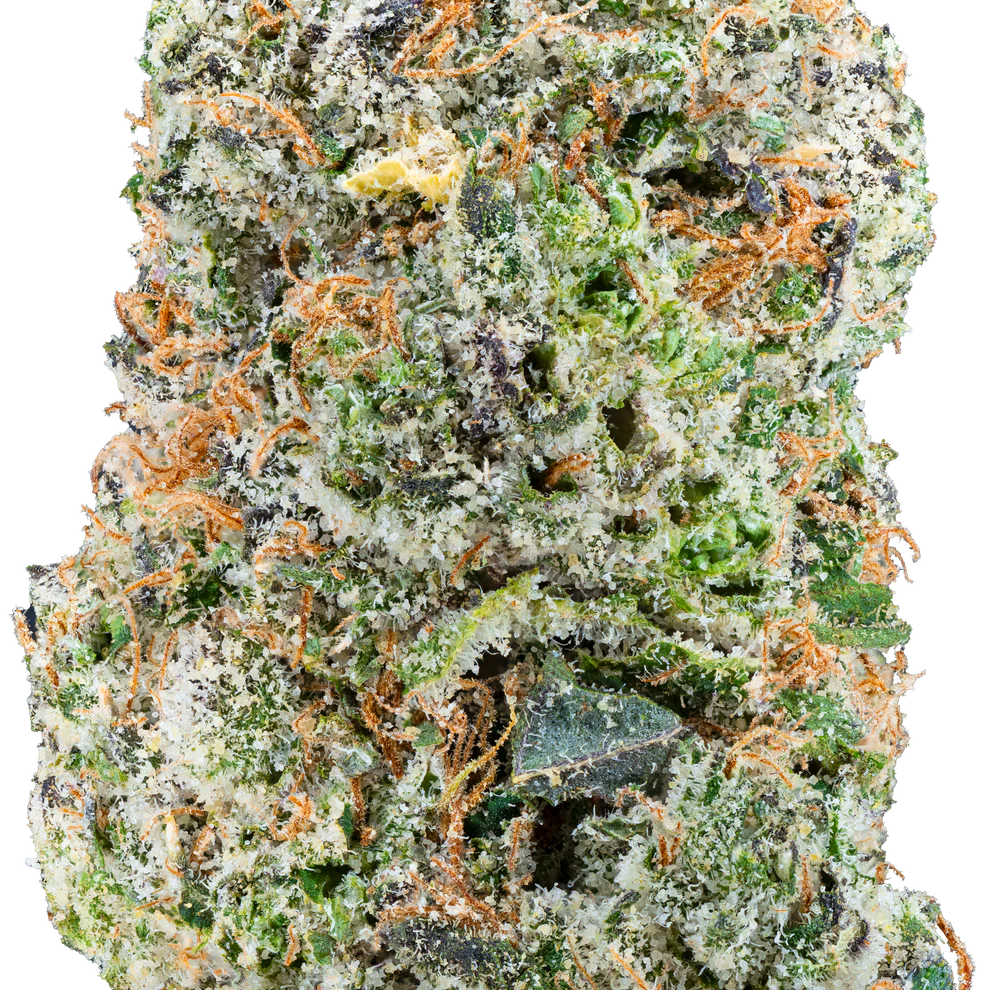 LIL BABY THC - GLOCKBUSTER - GOONFELLAS - THCa FLOWER 3.5GRAM