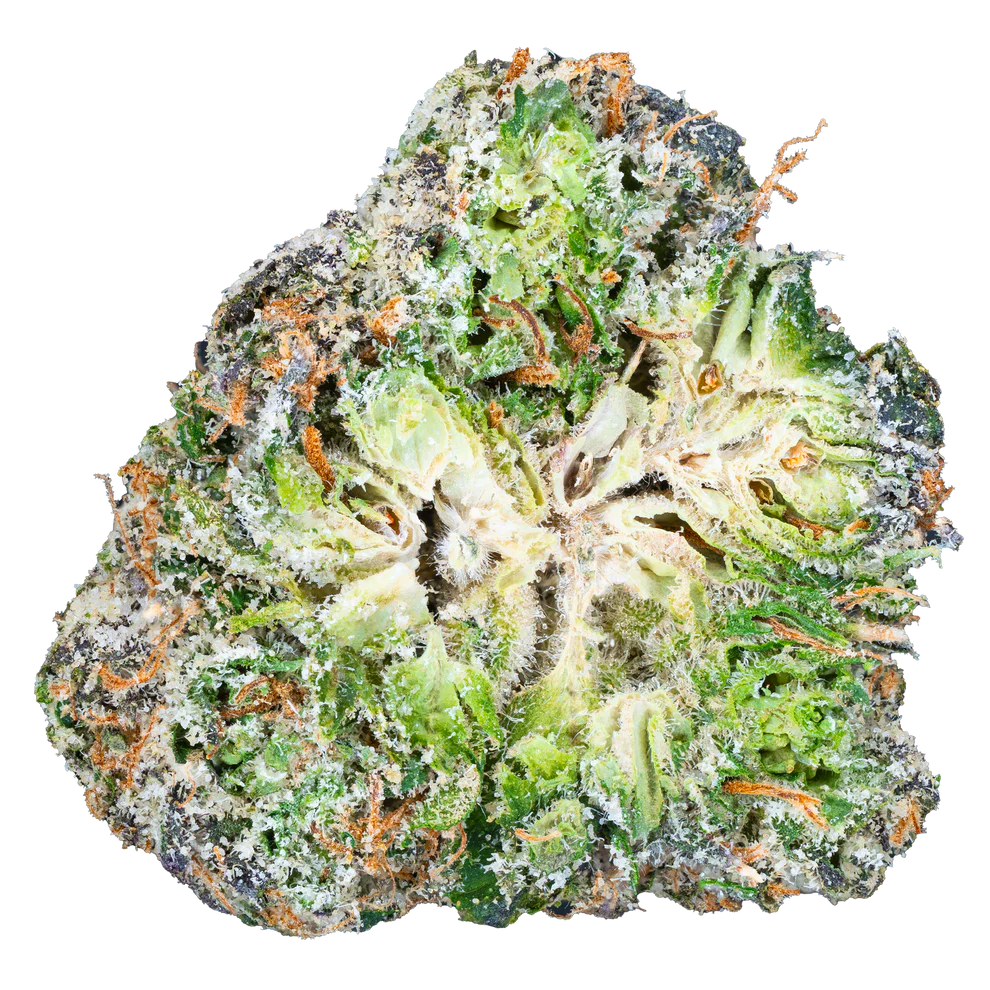LIL BABY THC - GLOCKBUSTER - GOONFELLAS - THCa FLOWER 3.5GRAM