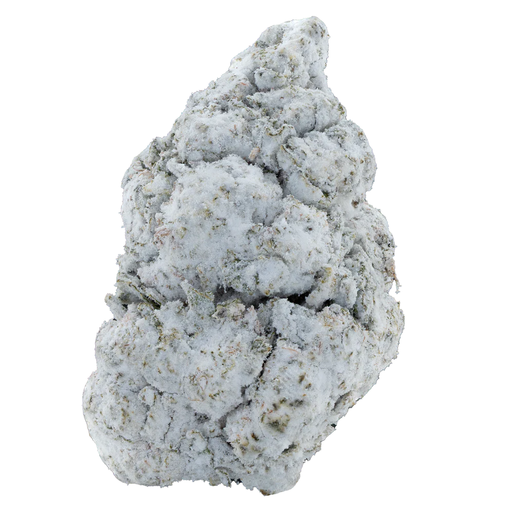 BAY BULK - SNOW BALLS  (SATIVA) HIGH THCa EXOTIC HEMP FLOWER 3.5GM / JAR