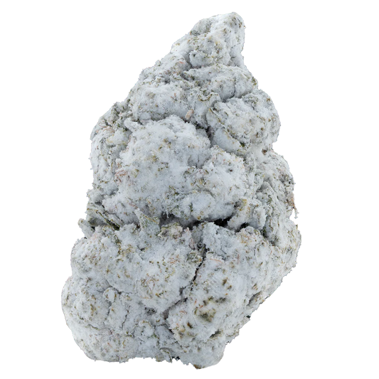 BAY BULK - SNOW BALLS  (SATIVA) HIGH THCa EXOTIC HEMP FLOWER 3.5GM / JAR