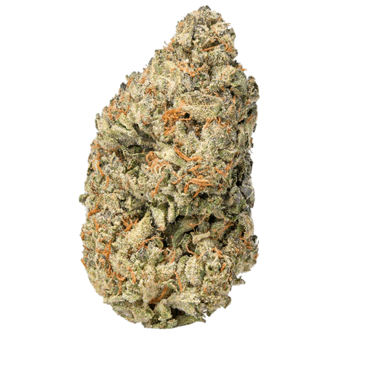 BAY BULK - WHITE TRUFFLE ( EXOTIC INDICA ) HIGH THCa HEMP FLOWER 7GM / BAG