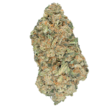 BAY BULK - WHITE TRUFFLE ( EXOTIC INDICA ) HIGH THCa HEMP FLOWER 7GM / BAG