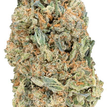 BAY BULK - WHITE TRUFFLE ( EXOTIC INDICA ) HIGH THCa HEMP FLOWER 7GM / BAG