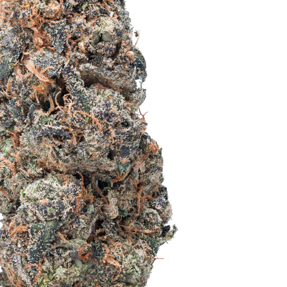 BAY BULK - GORILLA GLUE ( EXOTIC HYBRID ) HIGH THCa HEMP FLOWER 7GM / BAG