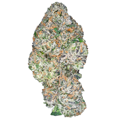 BAY BULK - APPLE FRITTER (HYBRID) HIGH THCa HEMP FLOWER 3.5GM / BAG