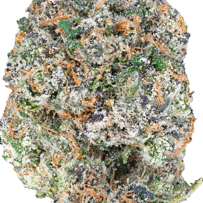 BAY BULK - APPLE FRITTER (HYBRID) HIGH THCa HEMP FLOWER 3.5GM / BAG