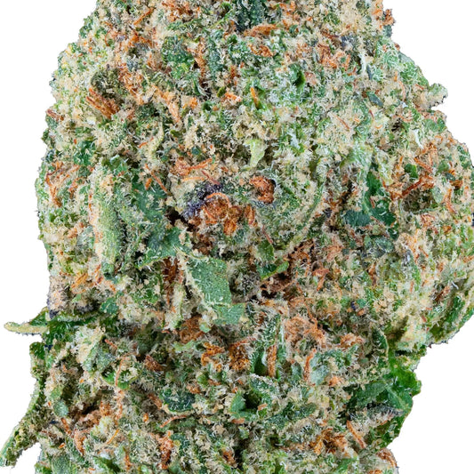 BAY BULK - GELATO 33 (HYBRID) HIGH THCa HEMP FLOWER 3.5GM / BAG