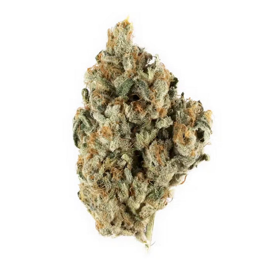 BAY SMOKES - GELATO X BISCOTTI  (HYBRID) THCa HEMP FLOWER 3.5GM / JAR
