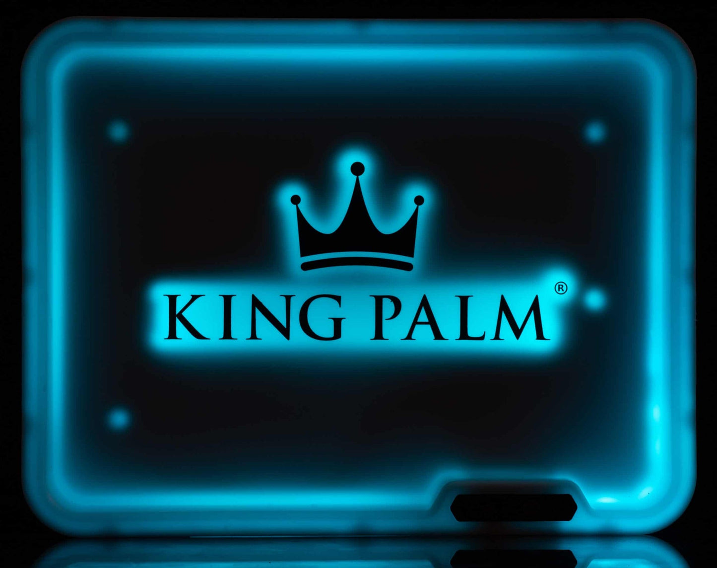 KING PALM - GLOW TRAY