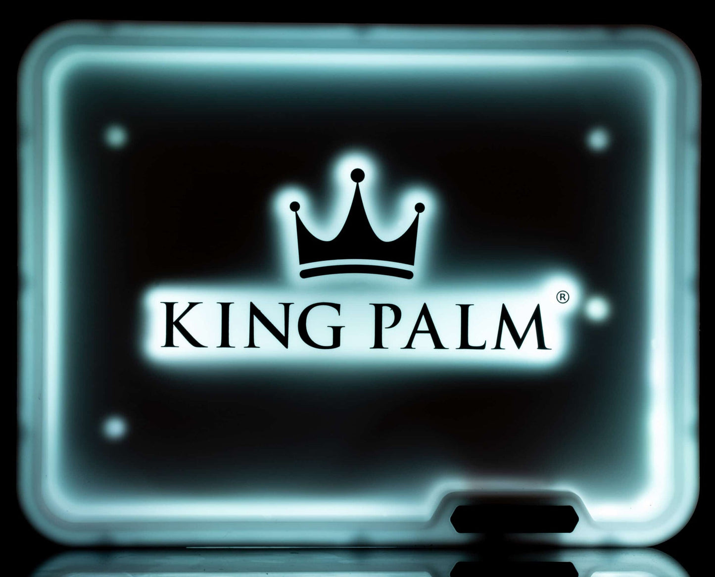 KING PALM - GLOW TRAY