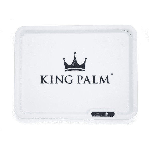 KING PALM - GLOW TRAY