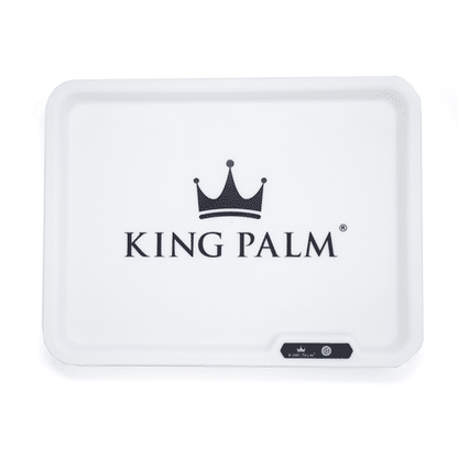 KING PALM - GLOW TRAY