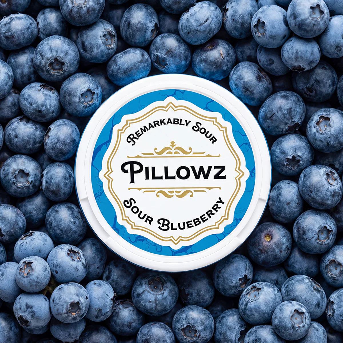 PILLOWZ - SOUR BLUEBERRY - 5 PACK/BUNDLE