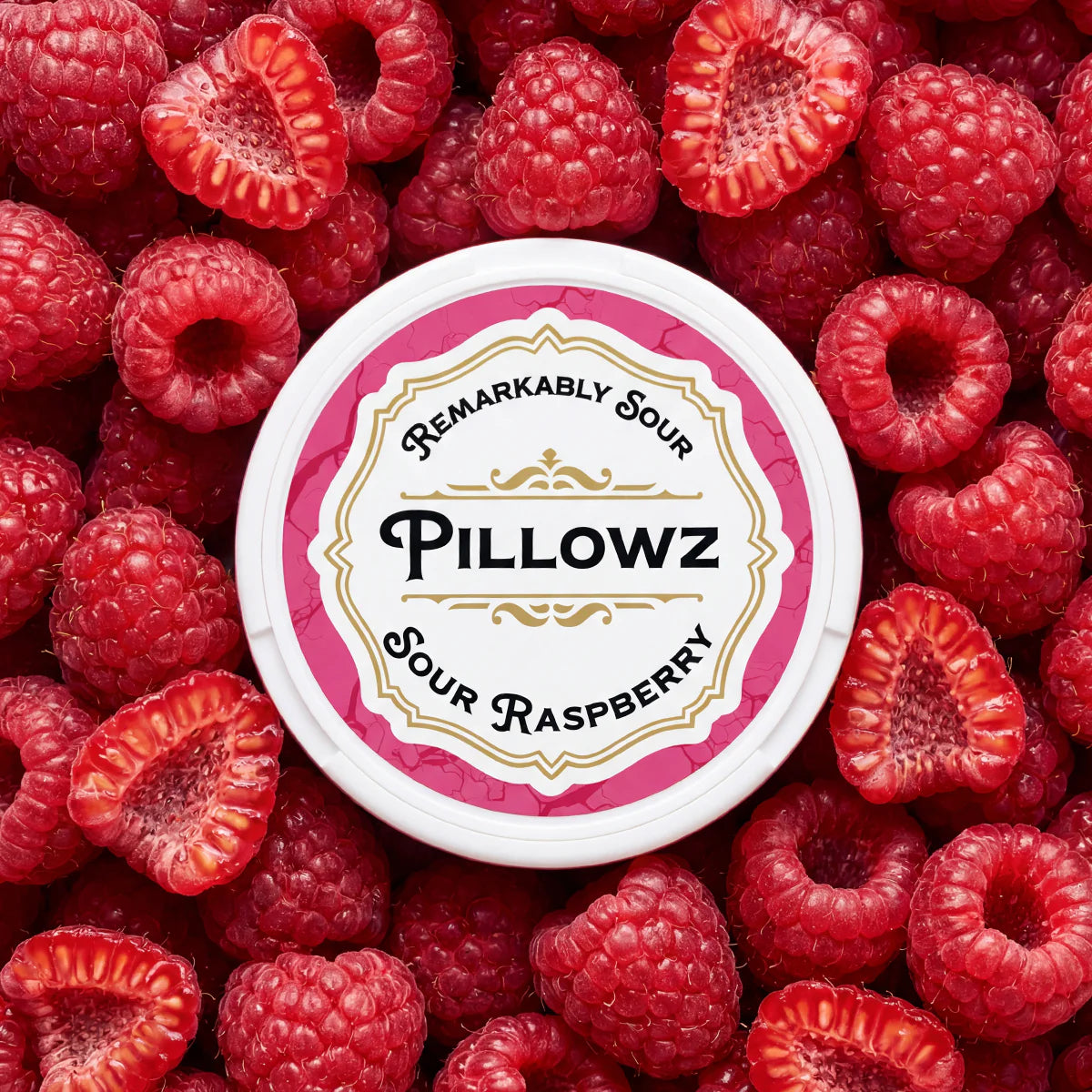 PILLOWZ - SOUR RASPBERRY - 5 PACK/BUNDLE