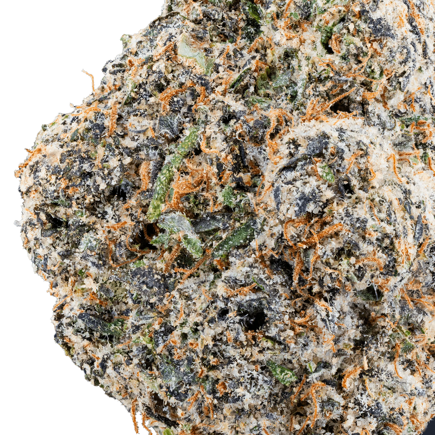 BAY SMOKES - SPACE JUNKY (SATIVA) THCa HEMP FLOWER 3.5GM / JAR