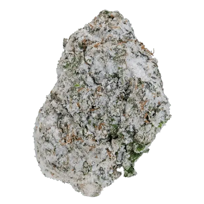 BAY BULK - BIG SWIRLZ SNOWBALLS (HYBRID) HIGH THCa HEMP FLOWER 7GM / BAG