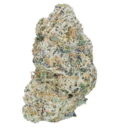 BAY BULK - TRES LECHES (SATIVA) HIGH THCa HEMP FLOWER 3.5GM / JAR