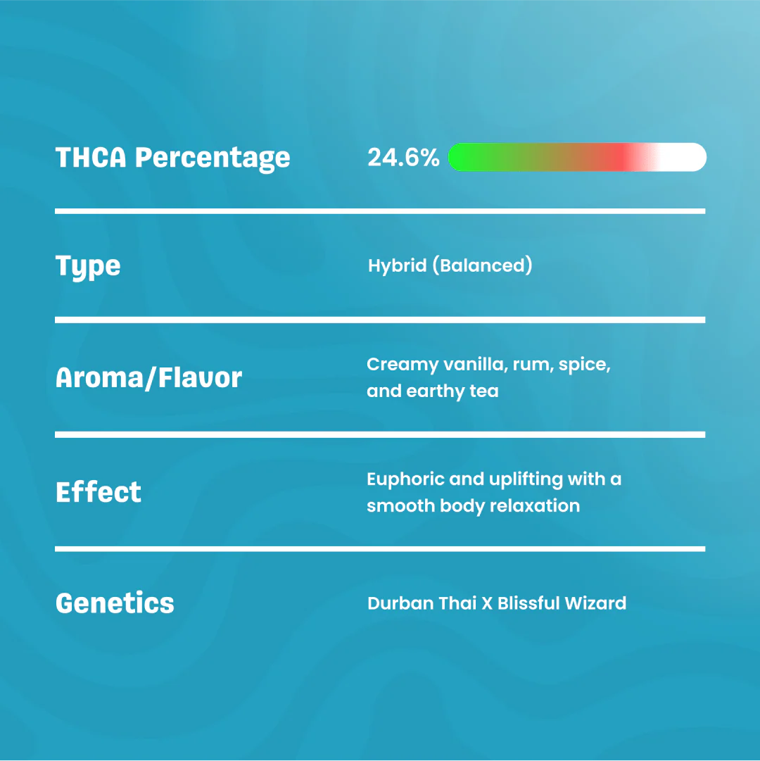 BAY BULK - THAI ICED TEA (INDICA HYBRID) HIGH THCa HEMP FLOWER 3.5GM / JAR
