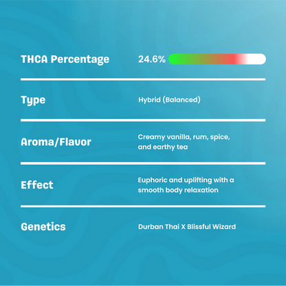 BAY BULK - THAI ICED TEA (INDICA HYBRID) HIGH THCa HEMP FLOWER 3.5GM / JAR