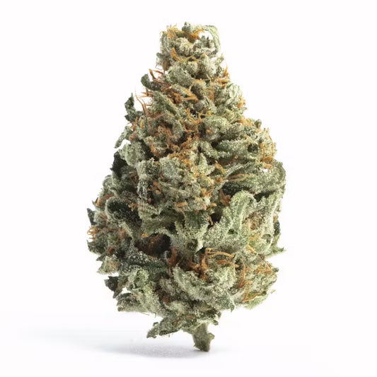 BAY BULK - WHITE RUNTZ (HYBRID) HIGH THCa HEMP FLOWER 3.5GM / BAG