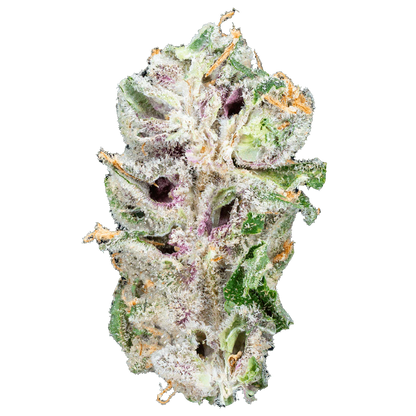 BAY BULK - ALIEN ET (HYBRID) HIGH THCa HEMP FLOWER 3.5GM / JAR